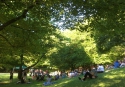 Kleine Zirkuswiese im Westpark